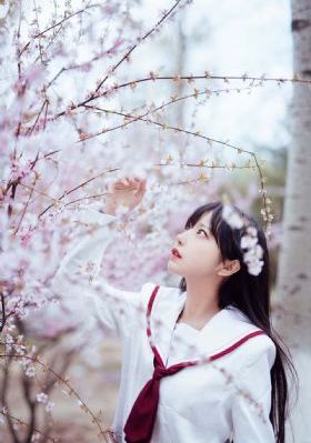 战狼1全集免费观看完整版_DVDBD在线观看